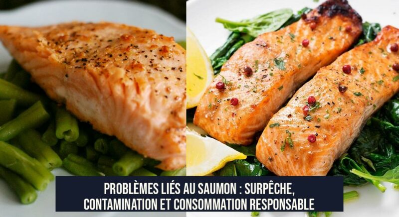 Problèmes liés au saumon : surpêche, contamination et consommation responsable