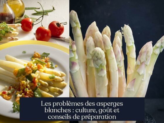 Les problèmes des asperges blanches : culture, goût et conseils de préparation