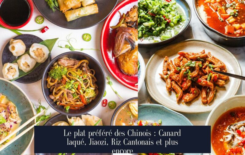 Le plat préféré des Chinois : Canard laqué, Jiaozi, Riz Cantonais et plus encore