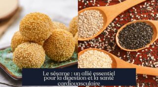Le sésame : un allié essentiel pour la digestion et la santé cardiovasculaire