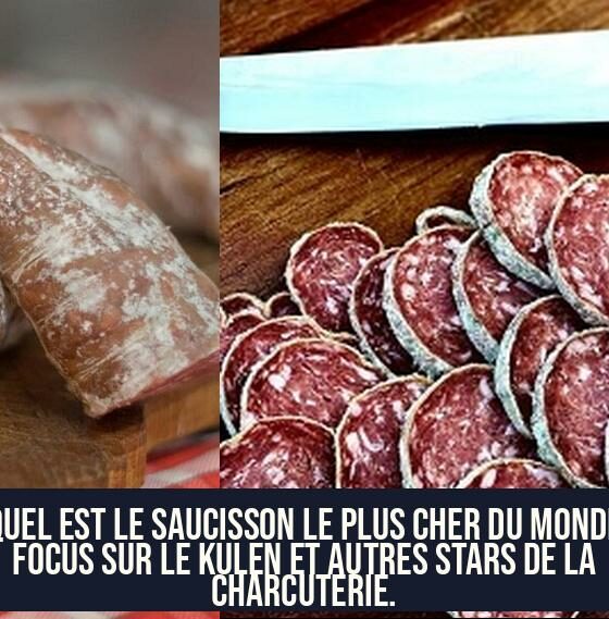 Quel est le saucisson le plus cher du monde Focus sur le Kulen et autres stars de la charcuterie.