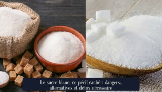 Le sucre blanc, ce péril caché : dangers, alternatives et détox nécessaire