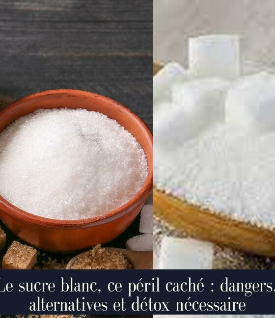 Le sucre blanc, ce péril caché : dangers, alternatives et détox nécessaire
