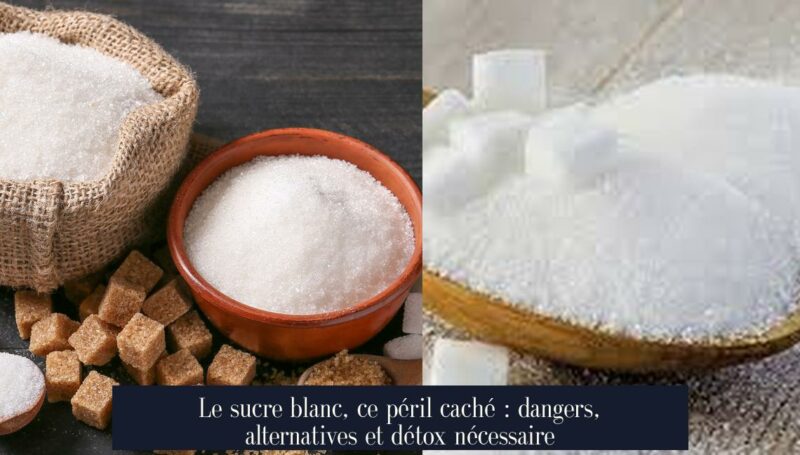 Le sucre blanc, ce péril caché : dangers, alternatives et détox nécessaire