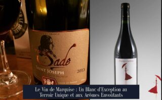 Le Vin de Marquise : Un Blanc d'Exception au Terroir Unique et aux Arômes Envoûtants