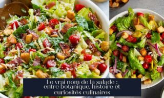 Le vrai nom de la salade : entre botanique, histoire et curiosités culinaires