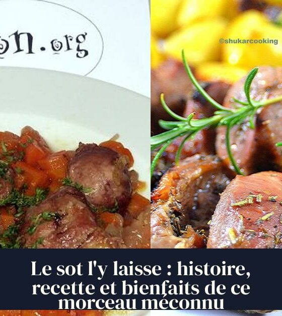Le sot l'y laisse : histoire, recette et bienfaits de ce morceau méconnu