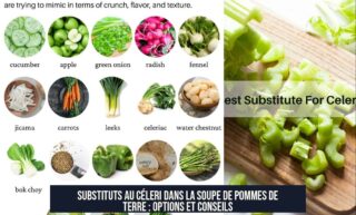 Substituts au céleri dans la soupe de pommes de terre : options et conseils