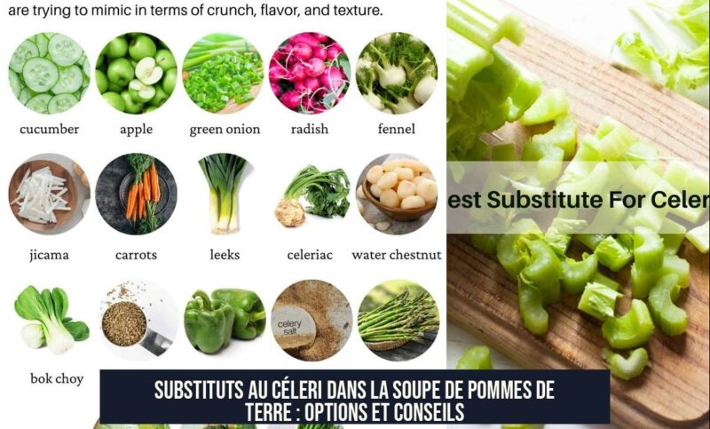 Substituts au céleri dans la soupe de pommes de terre : options et conseils