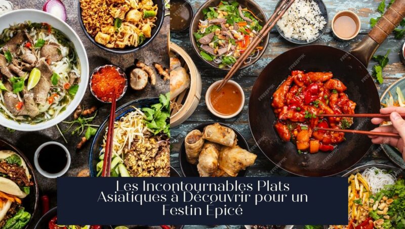 Les Incontournables Plats Asiatiques à Découvrir pour un Festin Épicé