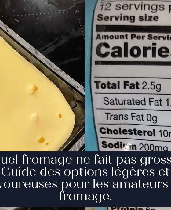 Quel fromage ne fait pas grossir Guide des options légères et savoureuses pour les amateurs de fromage.