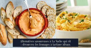 Alternatives savoureuses à La Vache qui rit : découvrez les fromages à tartiner idéaux