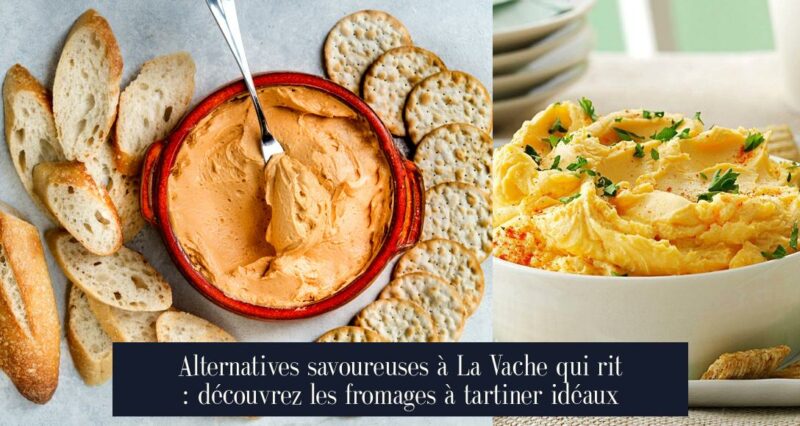 Alternatives savoureuses à La Vache qui rit : découvrez les fromages à tartiner idéaux