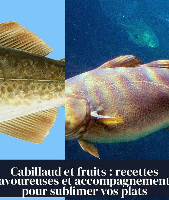 Cabillaud et fruits : recettes savoureuses et accompagnements pour sublimer vos plats