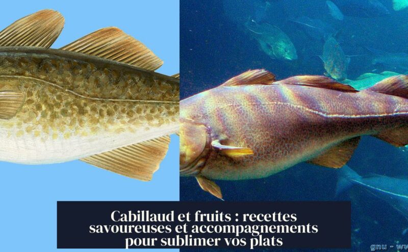 Cabillaud et fruits : recettes savoureuses et accompagnements pour sublimer vos plats