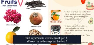 Fruit mystérieux commençant par V : découvrez cette surprise fruitée !