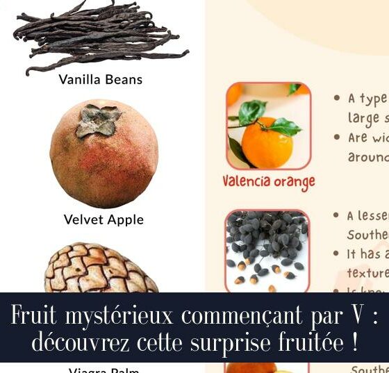 Fruit mystérieux commençant par V : découvrez cette surprise fruitée !