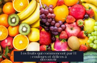 Les fruits qui commencent par H : couleurs et délices à découvrir