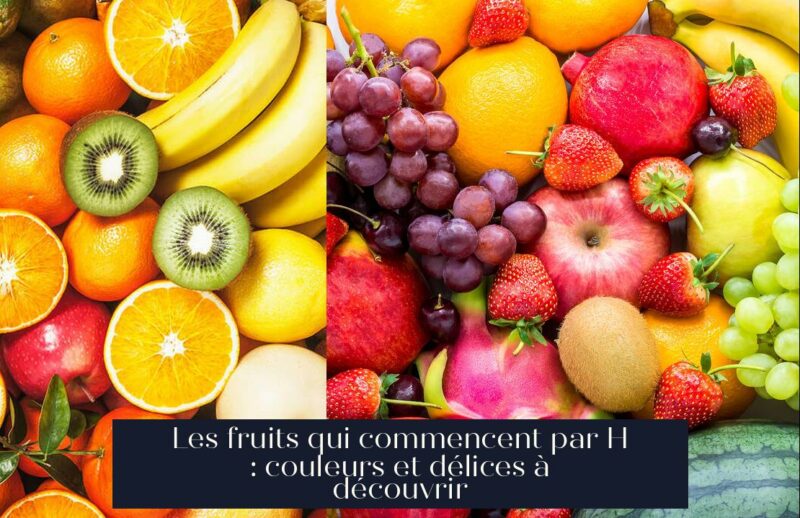 Les fruits qui commencent par H : couleurs et délices à découvrir