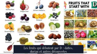 Les fruits qui débutent par D : dattes, durian et autres découvertes