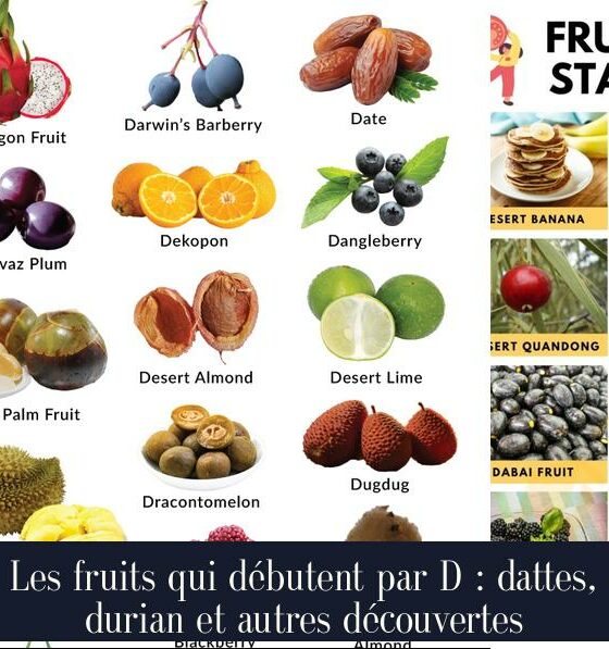 Les fruits qui débutent par D : dattes, durian et autres découvertes