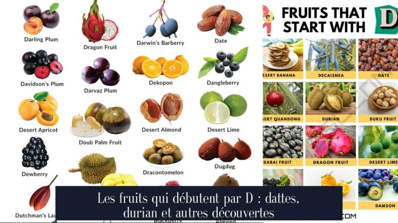 Les fruits qui débutent par D : dattes, durian et autres découvertes