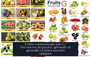Fruits commençant par G : Découvrez la goyave, grenade et groseille et leurs saveurs uniques