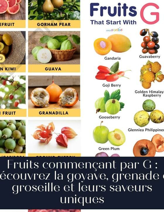 Fruits commençant par G : Découvrez la goyave, grenade et groseille et leurs saveurs uniques