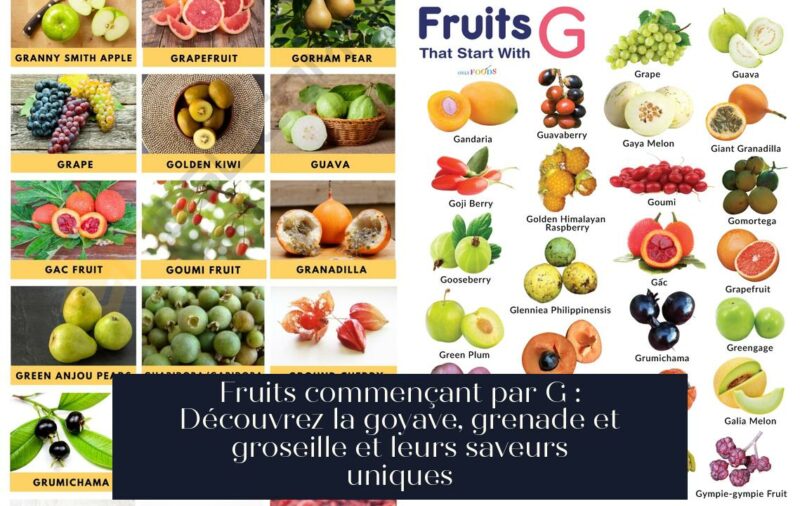 Fruits commençant par G : Découvrez la goyave, grenade et groseille et leurs saveurs uniques
