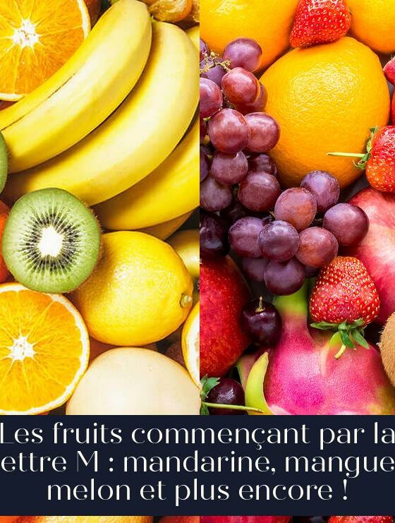 Les fruits commençant par la lettre M : mandarine, mangue, melon et plus encore !