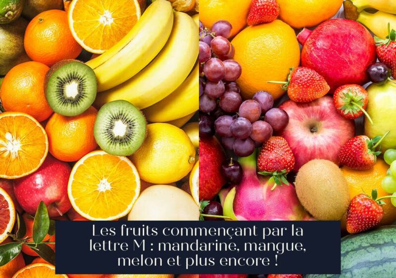 Les fruits commençant par la lettre M : mandarine, mangue, melon et plus encore !