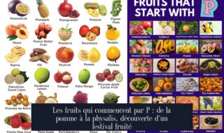 Les fruits qui commencent par P : de la pomme à la physalis, découverte d'un festival fruité