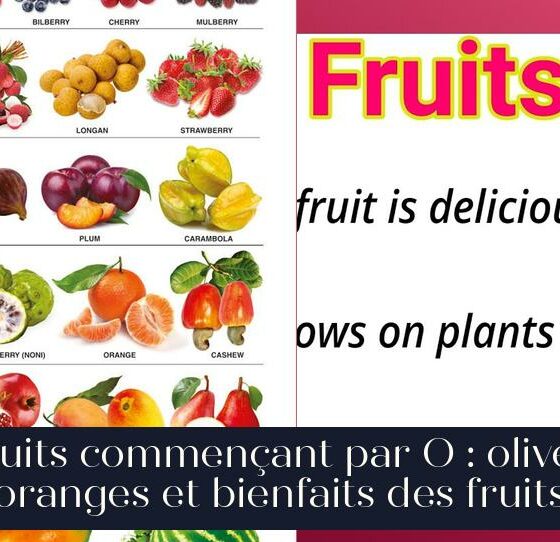 Fruits commençant par O : olives, oranges et bienfaits des fruits