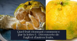 Quel fruit étonnant commence par la lettre U Découverte de l'ugli et d'autres fruits.
