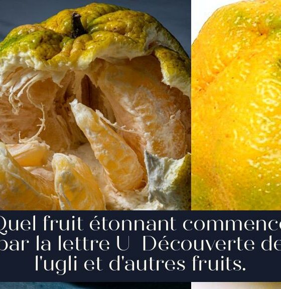 Quel fruit étonnant commence par la lettre U Découverte de l'ugli et d'autres fruits.