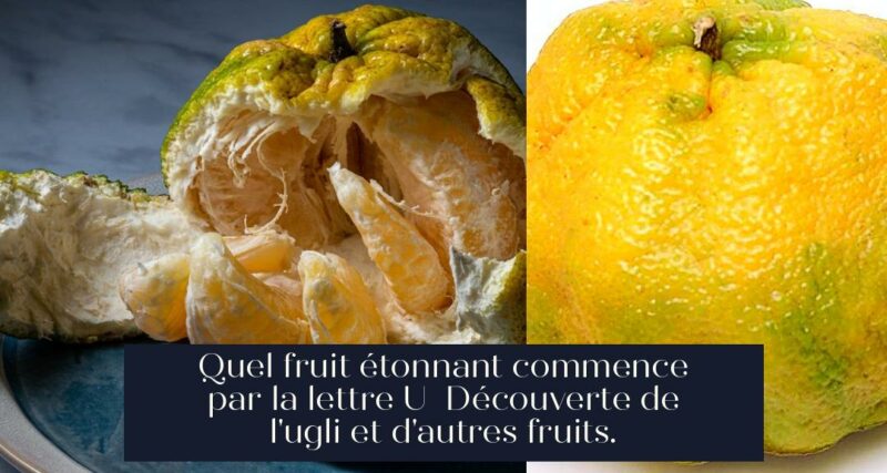 Quel fruit étonnant commence par la lettre U Découverte de l'ugli et d'autres fruits.