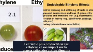Le fruit le plus productif en gaz éthylène et son impact sur la conservation des autres aliments