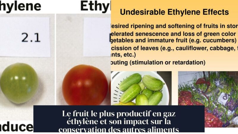 Le fruit le plus productif en gaz éthylène et son impact sur la conservation des autres aliments
