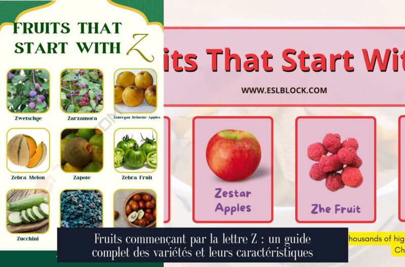 Fruits commençant par la lettre Z : un guide complet des variétés et leurs caractéristiques