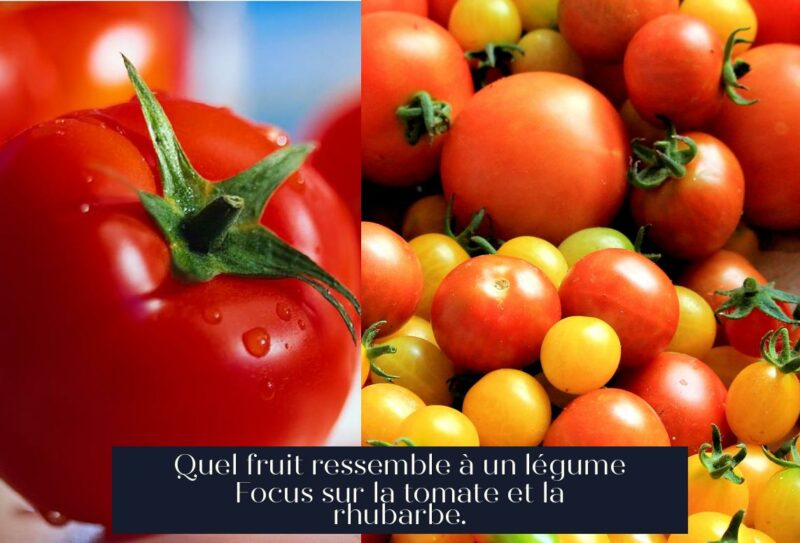 Quel fruit ressemble à un légume Focus sur la tomate et la rhubarbe.