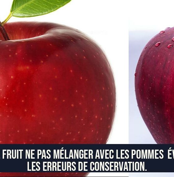Quel fruit ne pas mélanger avec les pommes Évitez les erreurs de conservation.