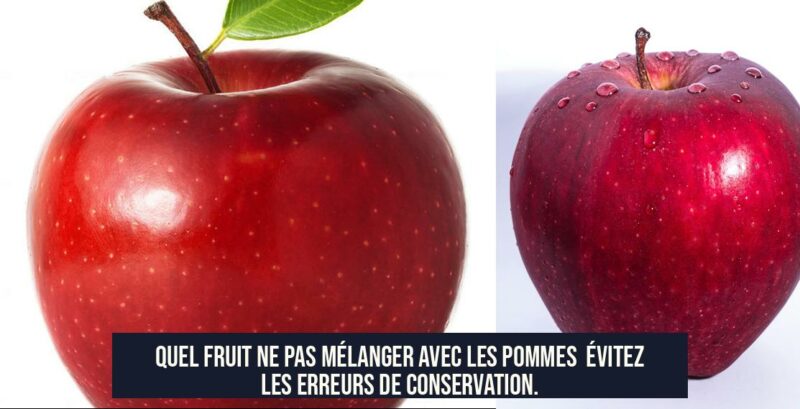 Quel fruit ne pas mélanger avec les pommes Évitez les erreurs de conservation.