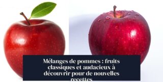 Mélanges de pommes : fruits classiques et audacieux à découvrir pour de nouvelles recettes