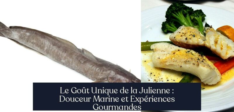 Le Goût Unique de la Julienne : Douceur Marine et Expériences Gourmandes