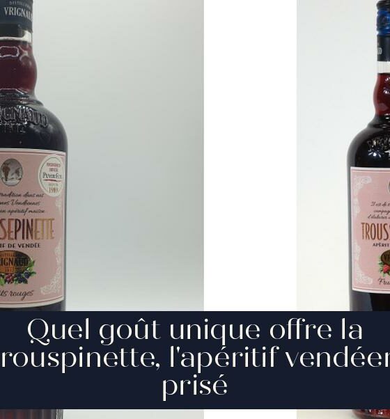 Quel goût unique offre la trouspinette, l'apéritif vendéen prisé