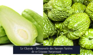 Le Chayote : Découverte des Saveurs Variées de ce Légume Surprenant