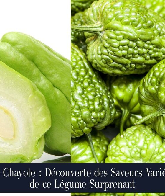Le Chayote : Découverte des Saveurs Variées de ce Légume Surprenant