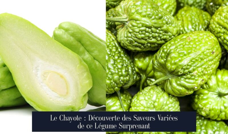 Le Chayote : Découverte des Saveurs Variées de ce Légume Surprenant