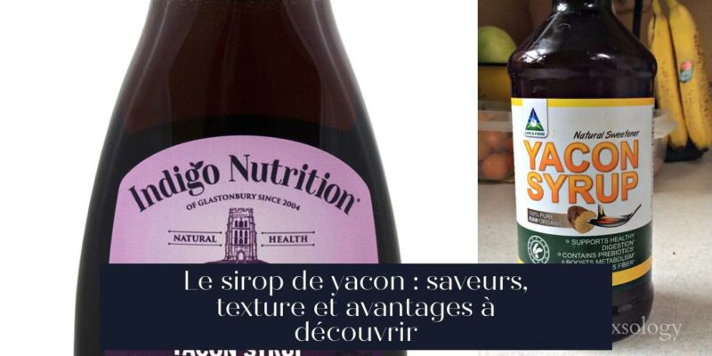 Le sirop de yacon : saveurs, texture et avantages à découvrir