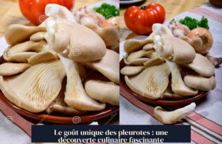 Le goût unique des pleurotes : une découverte culinaire fascinante